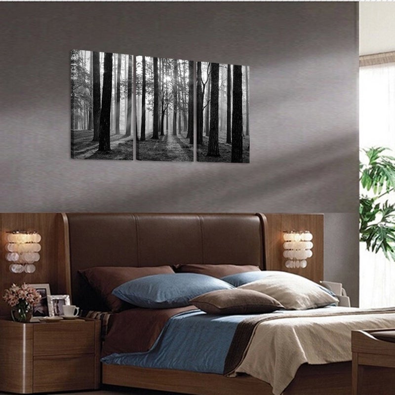 Visual Art Decor Black and White Nature Forest Landscape Picture Art Prints on Canvas Framed and Stretched Canvas Art Home Decor Living Room Wall Art - Image 5